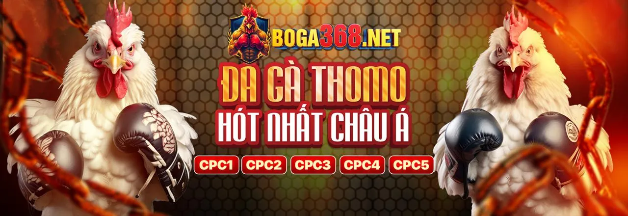 Đá gà trực tuyến sôi động tại abc888 login